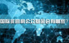 國際非營利公眾基金會有哪些？