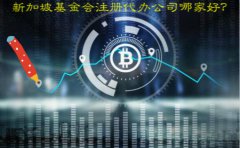新加坡基金會(huì)注冊代辦公司哪家好？