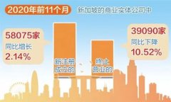 增長！增長！疫情背景下新加坡公司新注冊數(shù)量逆勢增長！