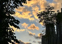 2025上半年，中國(guó)企業(yè)出海刷新全球副本：更猛、更強(qiáng)、更聰明