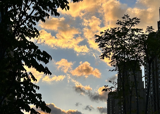 2025上半年，中國(guó)企業(yè)出海刷新全球副本：更猛、更強(qiáng)、更聰明