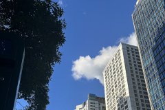 谷歌支付登陸沙特，支付寶于2026年接入，企業(yè)出海中東市場開辟新的合作機(jī)遇